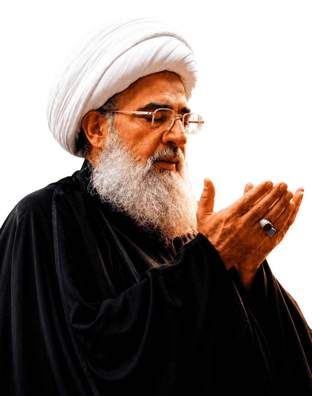 Sheikh Fadel Al-Maliki